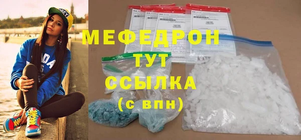 индика Арсеньев