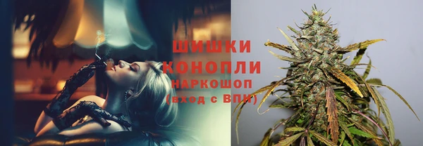 индика Арсеньев
