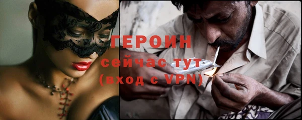 индика Арсеньев