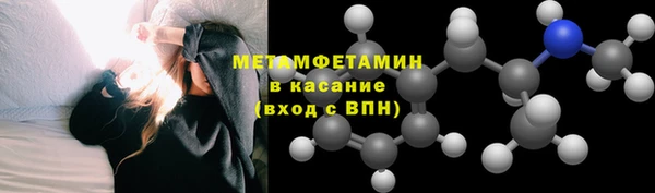 индика Арсеньев