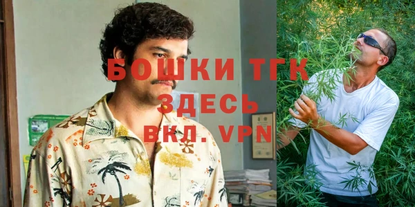 индика Арсеньев