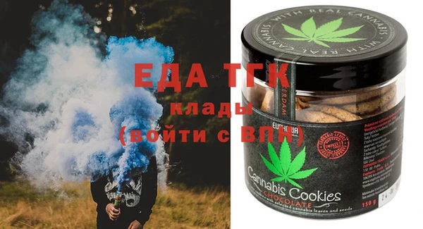 индика Арсеньев