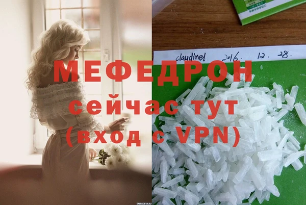 индика Арсеньев